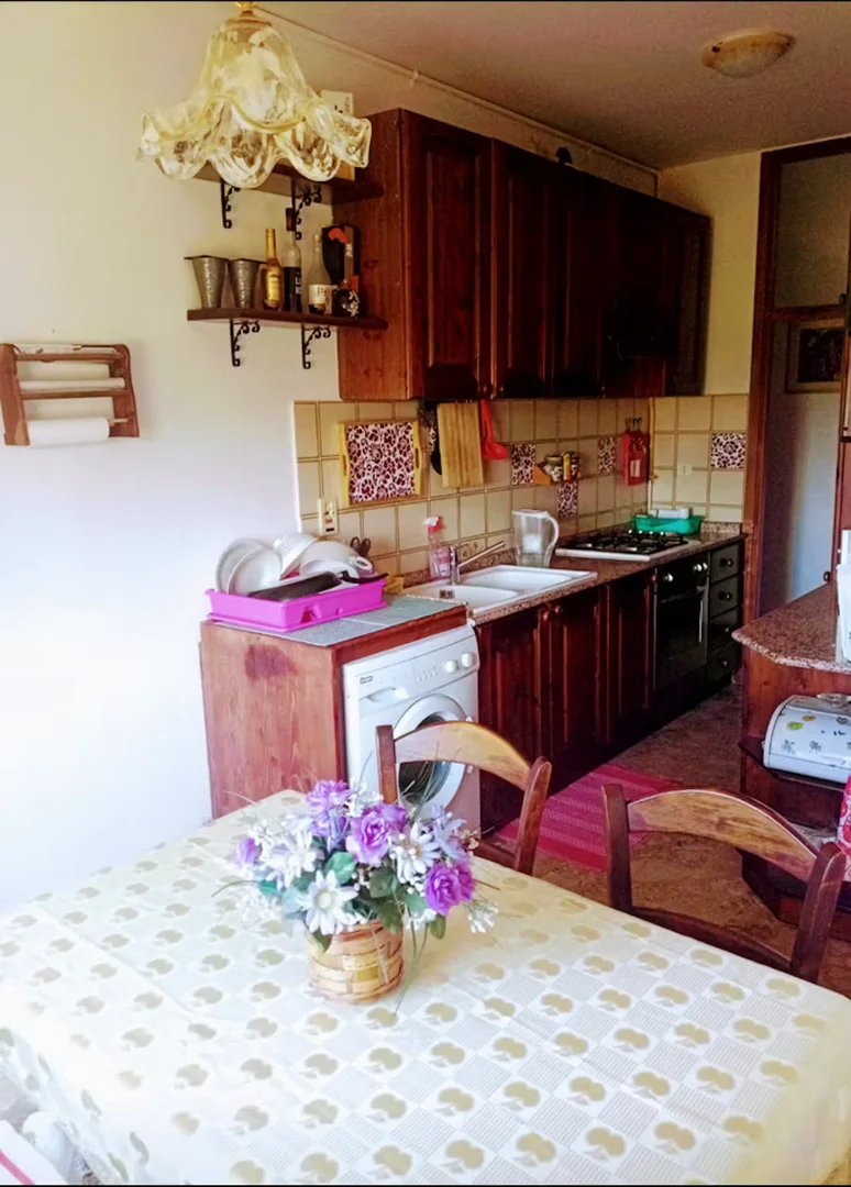 Budget-friendly student room close to campus in 