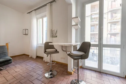 Appartamento intero in Via Giuseppe Grandi, immagine 8 di 17