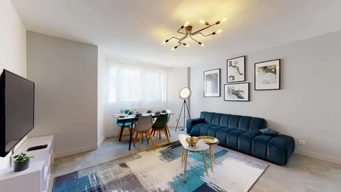 Private room at 67 Rue Hippolyte Kahn, 69100 Villeurbanne, France, image 14 of 15
