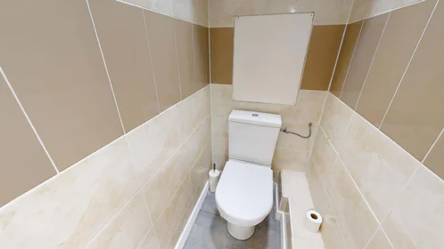 Private room at 67 Rue Hippolyte Kahn, 69100 Villeurbanne, France, image 15 of 15