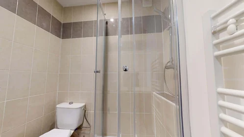Private room at 67 Rue Hippolyte Kahn, 69100 Villeurbanne, France, image 8 of 15