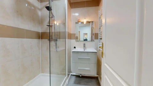 Private room at 67 Rue Hippolyte Kahn, 69100 Villeurbanne, France, image 10 of 15