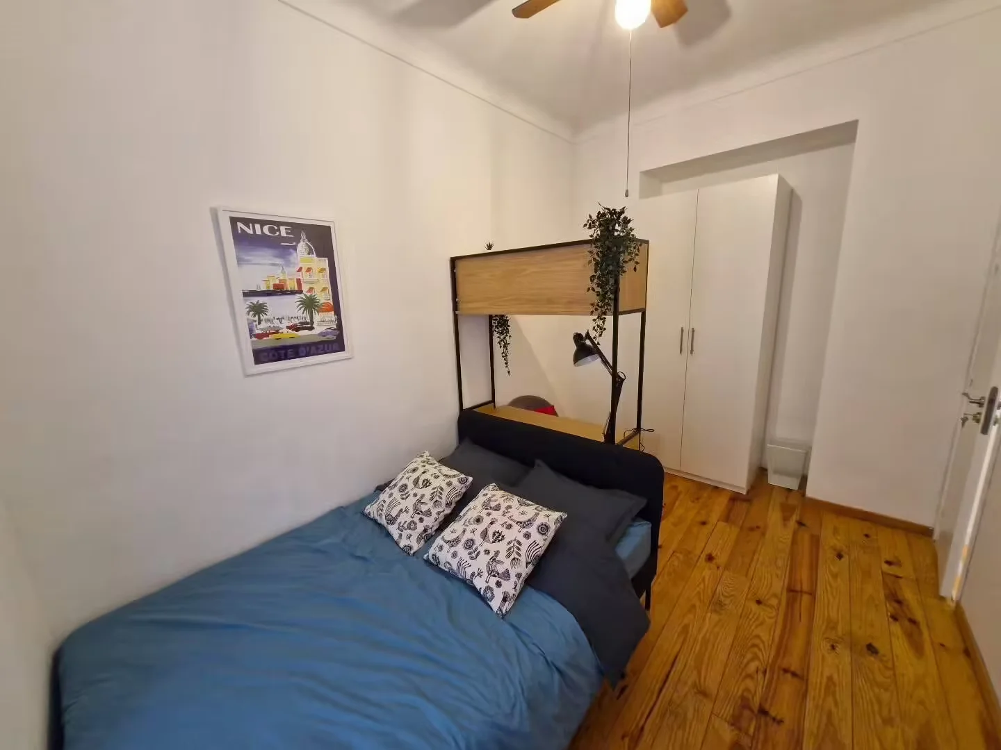 Affordable room for students with ample lighting in 