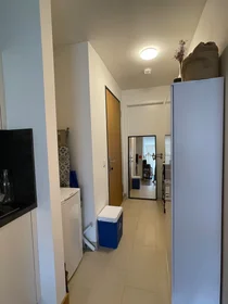 Entire apartment at Portenstraße, image 6 of 8