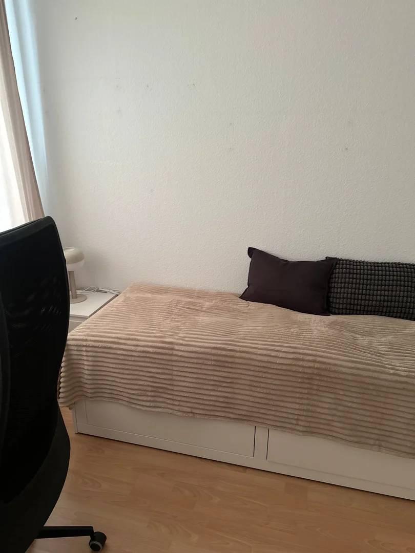 Affordable room for students with ample lighting in 