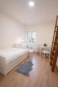 Całe miejsce Sokolská, Nové Město, obraz 1 9