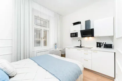 Entire apartment at Žitná, image 2 of 20