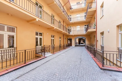 Entire apartment at Žitná, image 17 of 20