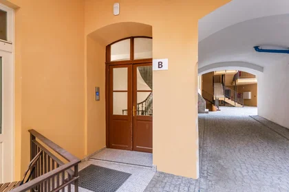 Entire apartment at Žitná, image 19 of 20