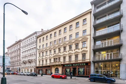 Entire apartment at Žitná, image 20 of 20