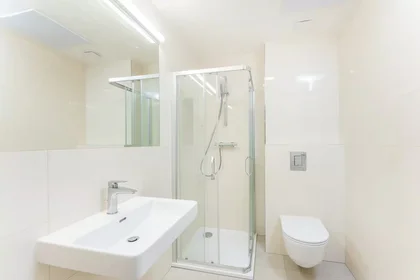Entire apartment at Žitná, image 5 of 20