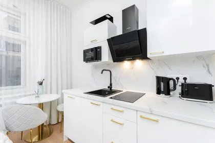 Entire apartment at Žitná, image 9 of 20