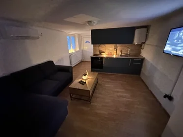 Logement entier à Papirniški trg 17, image 1 de 5