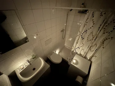 Logement entier à Papirniški trg 17, image 3 de 5