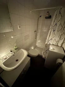 Logement entier à Papirniški trg 17, image 4 de 5
