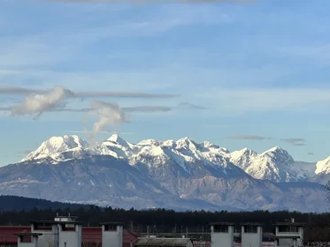 Logement entier à Papirniški trg 17, image 5 de 5