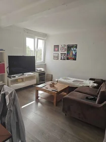 Prywatny pokój Rue Henri Regnault 13, obraz 1 9