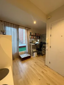 Entire apartment at Carrer de Cristòfor Colom 23, image 20 of 24