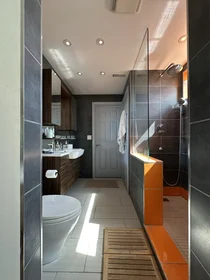 Alojamiento entero en Robert Street 216, imagen 11 de 13
