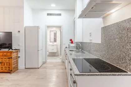 Appartamento intero in Calle Antonio Vico 1, immagine 4 di 15