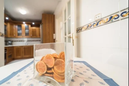 Appartamento intero in Calle Santos Zárate 10, immagine 16 di 16
