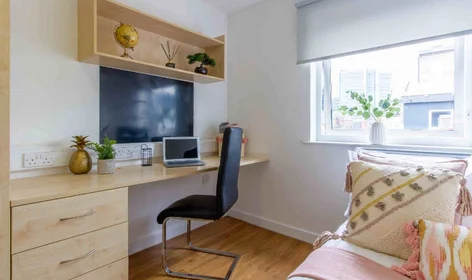 Özel oda Ikamet yerinde konumu Lower Loveday St, Birmingham B19 3SJ, United Kingdom, 14 16 görüntüsü