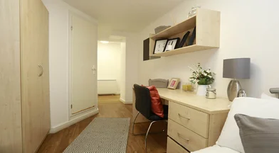 Özel oda Ikamet yerinde konumu Lower Loveday St, Birmingham B19 3SJ, United Kingdom, 3 16 görüntüsü