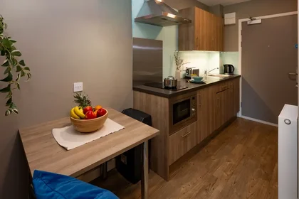 Estúdio em residência em 455 George St, Aberdeen AB25 3YB, United Kingdom              , imagem 7 de 24
