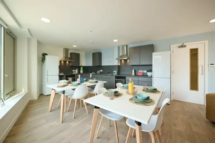 Private room in residence at Gas Ln, Bristol BS2 0SF, United Kingdom                   , image 7 of 39