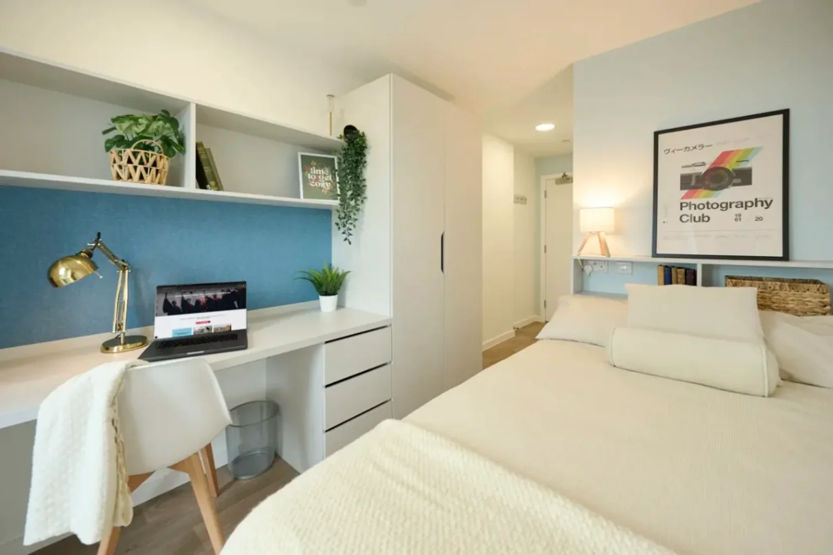 Affordable room for students with ample lighting in 