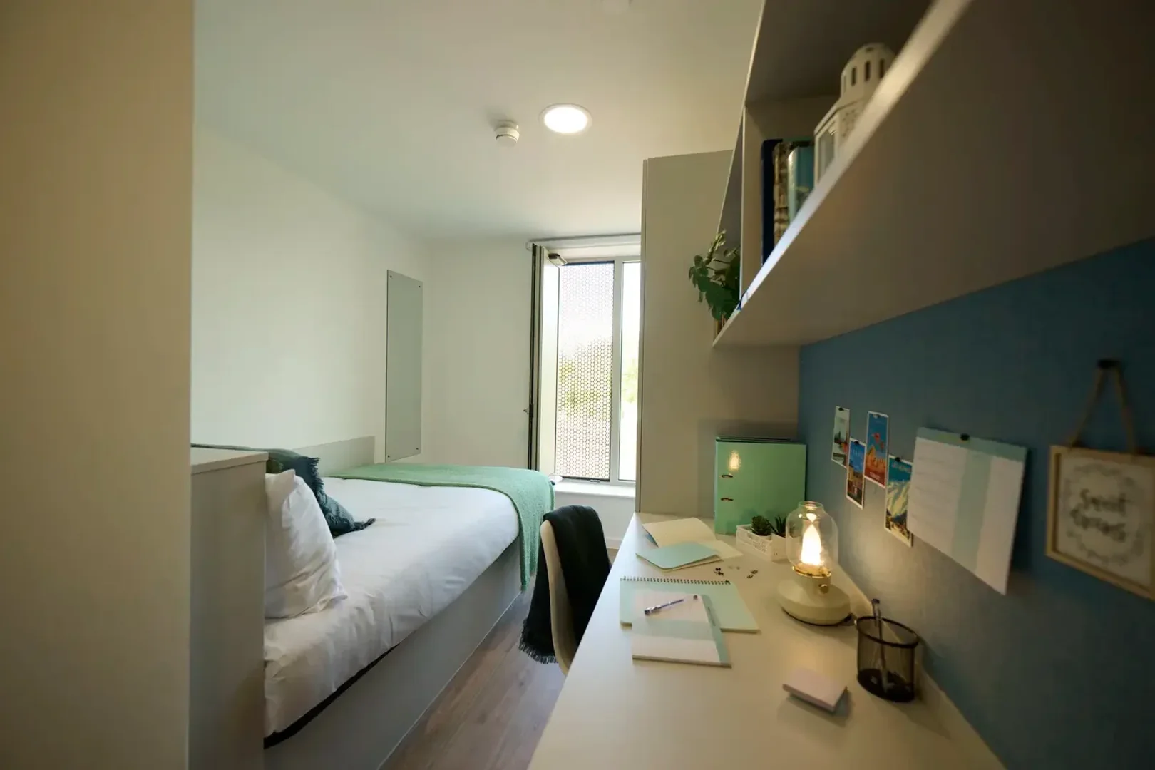 Budget-friendly student room close to campus in 