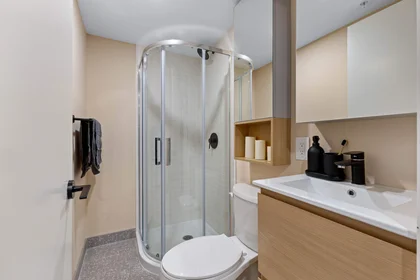 Apartamento inteiro em residência em 2025 Peel Street, Montreal, Quebec, H3A1T6, imagem 35 de 49
