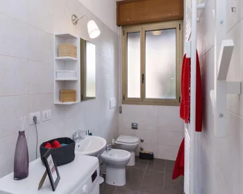 Habitación privada en Viale Giovanni Vicini, imagen 16 de 42