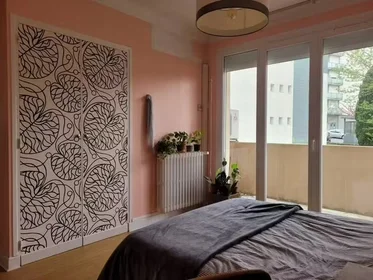 Stanza privata in Toulouse, 31500, immagine 1 di 10
