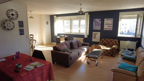 Stanza privata in Nancy, 54000, immagine 1 di 9