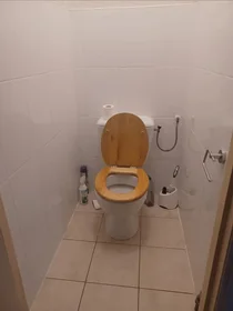 Chambre privée à Rooseveltlaan, image 2 de 10