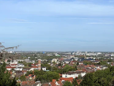 Logement entier à Siegelsmauer, image 11 de 13