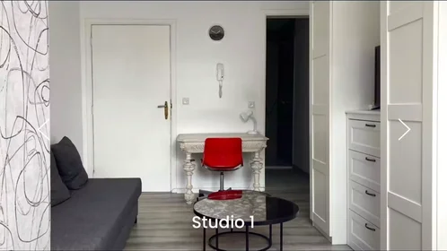 Appartamento intero in Rue du Trône, Flagey-Malibran, immagine 2 di 7