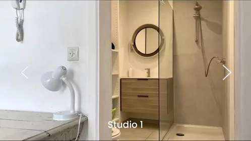 Appartamento intero in Rue du Trône, Flagey-Malibran, immagine 4 di 7