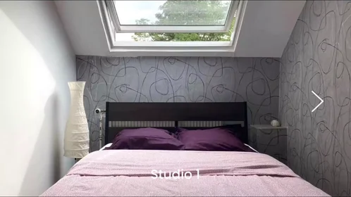 Appartamento intero in Rue du Trône, Flagey-Malibran, immagine 7 di 7