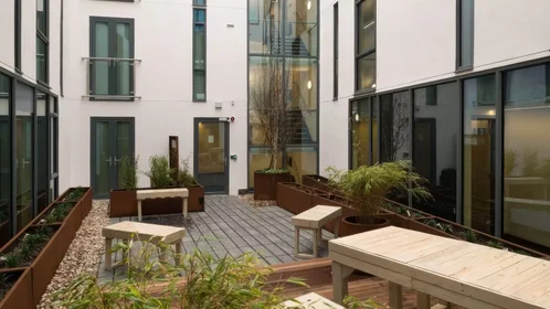 Studio in der Marton Street, bild 33 von 45