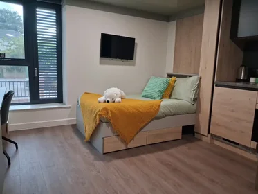 Stylish studio in {area}
