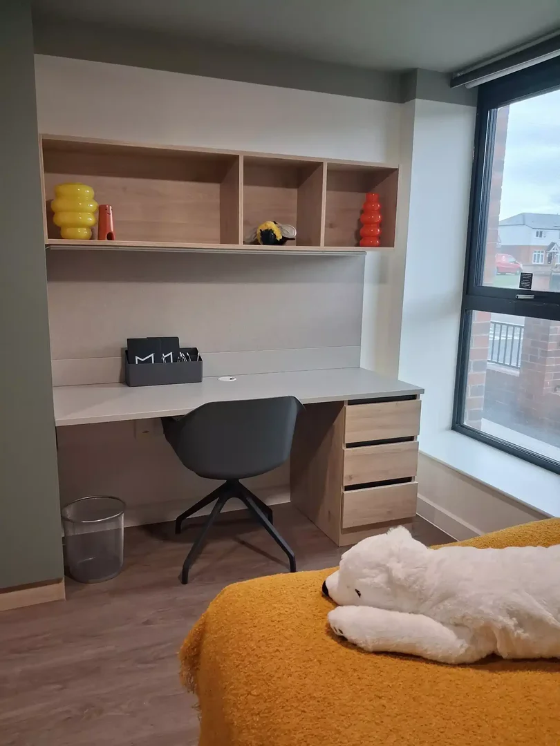 Student-friendly studio with excellent transport links in 