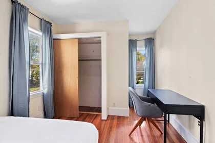 Appartamento intero in Royal Street, Lower Allston, immagine 3 di 10