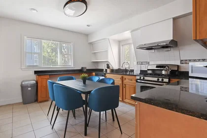 Appartamento intero in Royal Street, Lower Allston, immagine 5 di 10