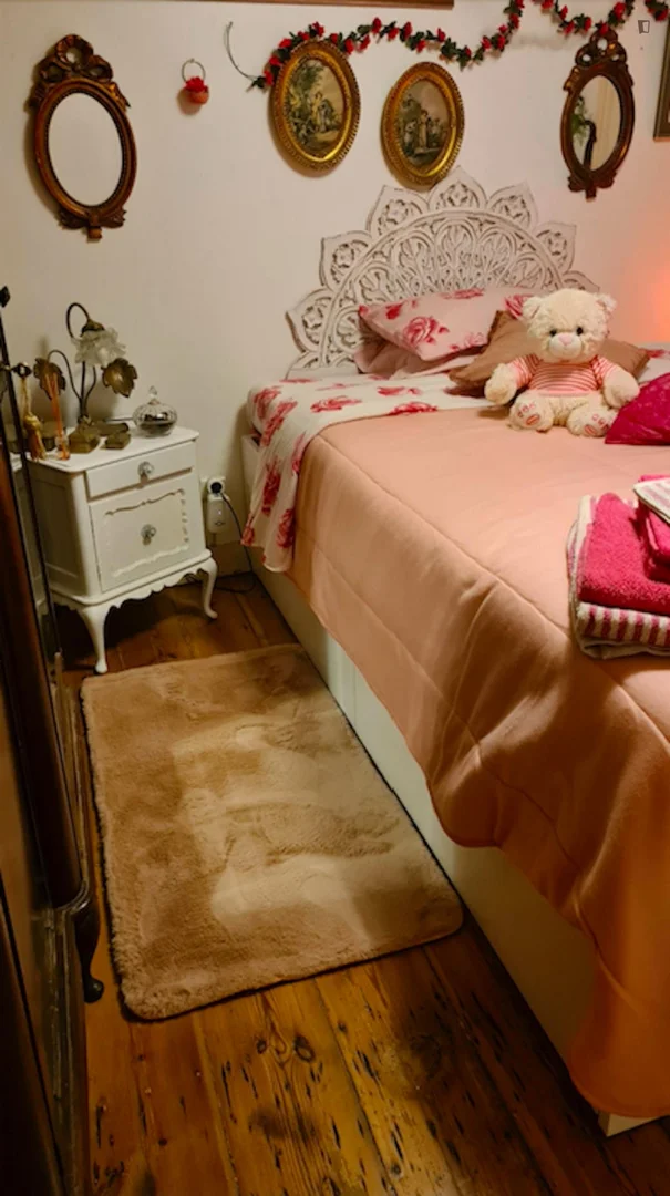 Room for rent in student apartment in , fully furnished