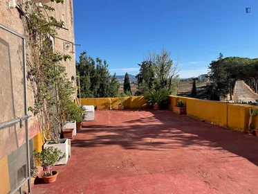 Całe miejsce Via di Torrenova, obraz 14 16