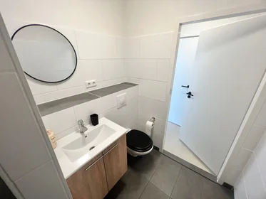Entire apartment at Daalseweg, image 9 of 10