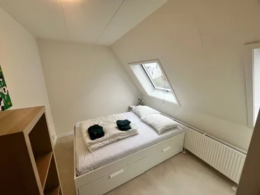 Entire apartment at Daalseweg, image 10 of 10