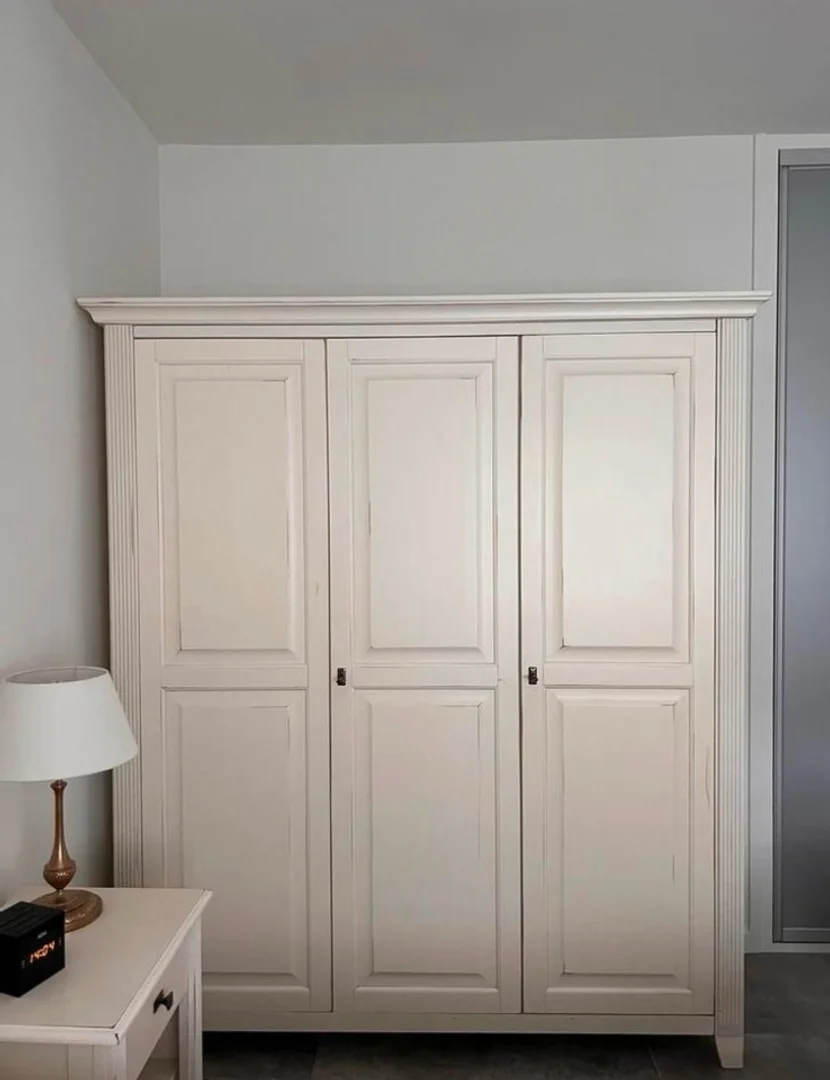 Affordable room for students with ample lighting in 
